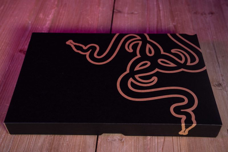 Razer Blade Pro 17 (2021)